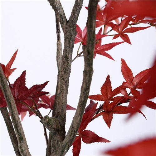 Plastic Maple Tree