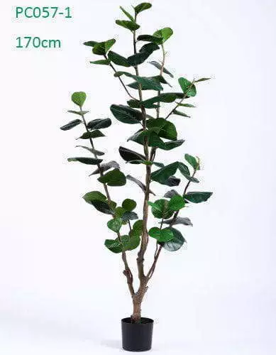 Nearly Natural Silk Tree Polyscias Balfouriana Bailey