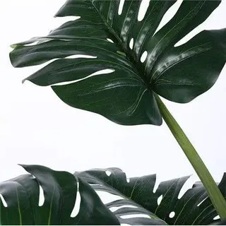 Fake Monstera Deliciosa