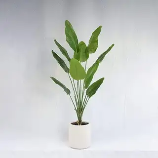 Faux Travelers Banana Large Leaves, 180CM