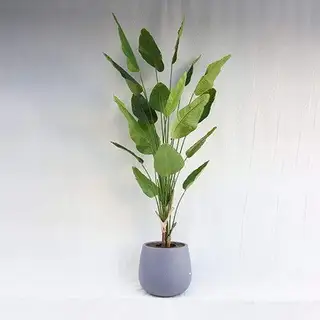 Man-made XXL Strelitziaceae Tree Plastic Pot, 240CM
