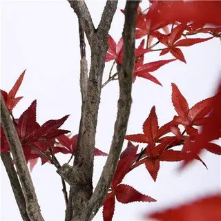 Plastic Maple Tree
