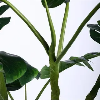 Fake Monstera Deliciosa