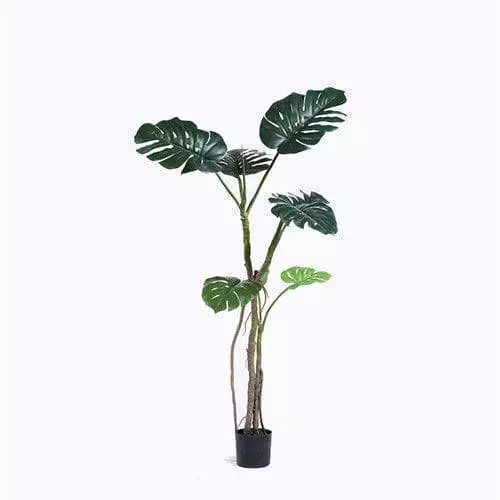 Artificial Cheese Plant
