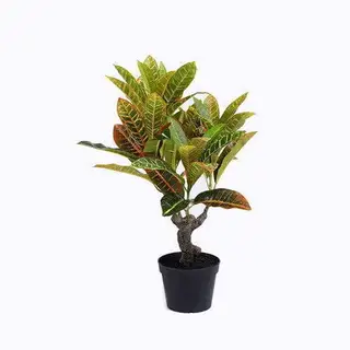 Artificial Croton Plant