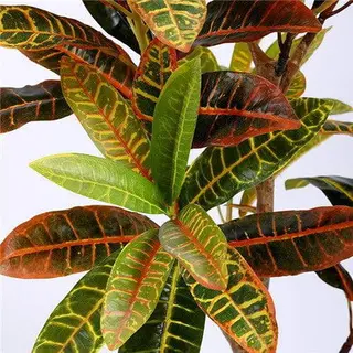 Artificial Garden Croton