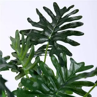 Artificial Split Philo Tree