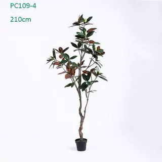 Plastic Magnolia Trees, Unique Design