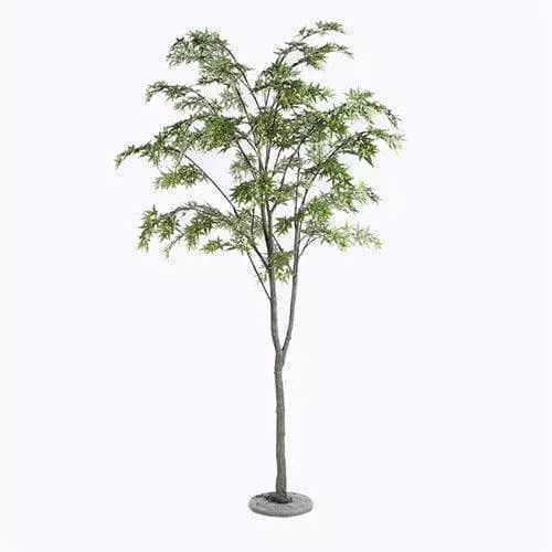 Plastic Maple Tree