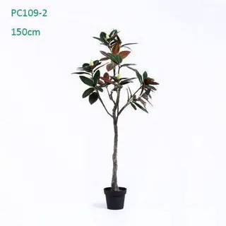 Plastic Magnolia Trees, Unique Design