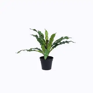 Artificial Bird's Nest Fern