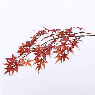 Silk Maple Leaves