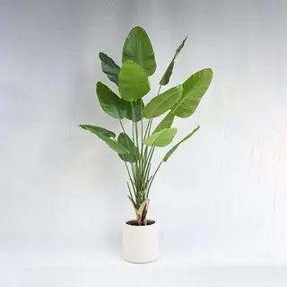 Faux 6.9 Feet Ravenala Madagascariensis, 210CM