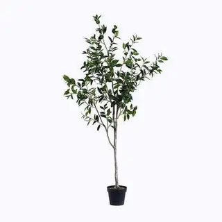 Artificial Bay Trees
