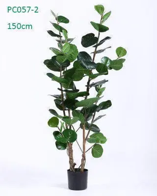 Nearly Natural Silk Tree Polyscias Balfouriana Bailey