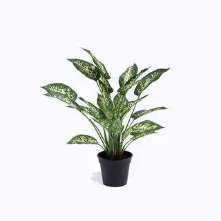 Artificial Dumb Cane