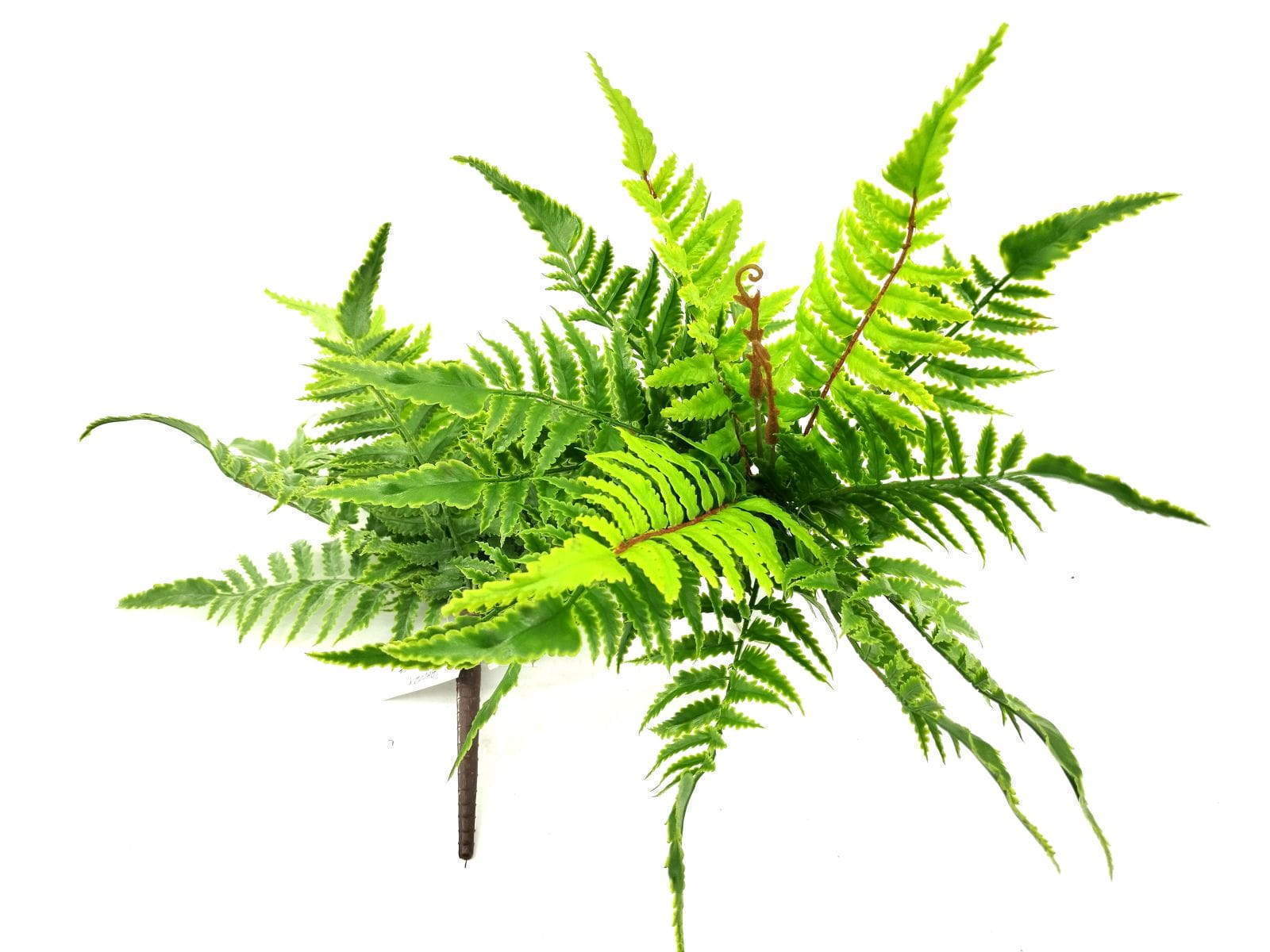 9 Leaves Artificial Pteris Fern Bunches 32cm