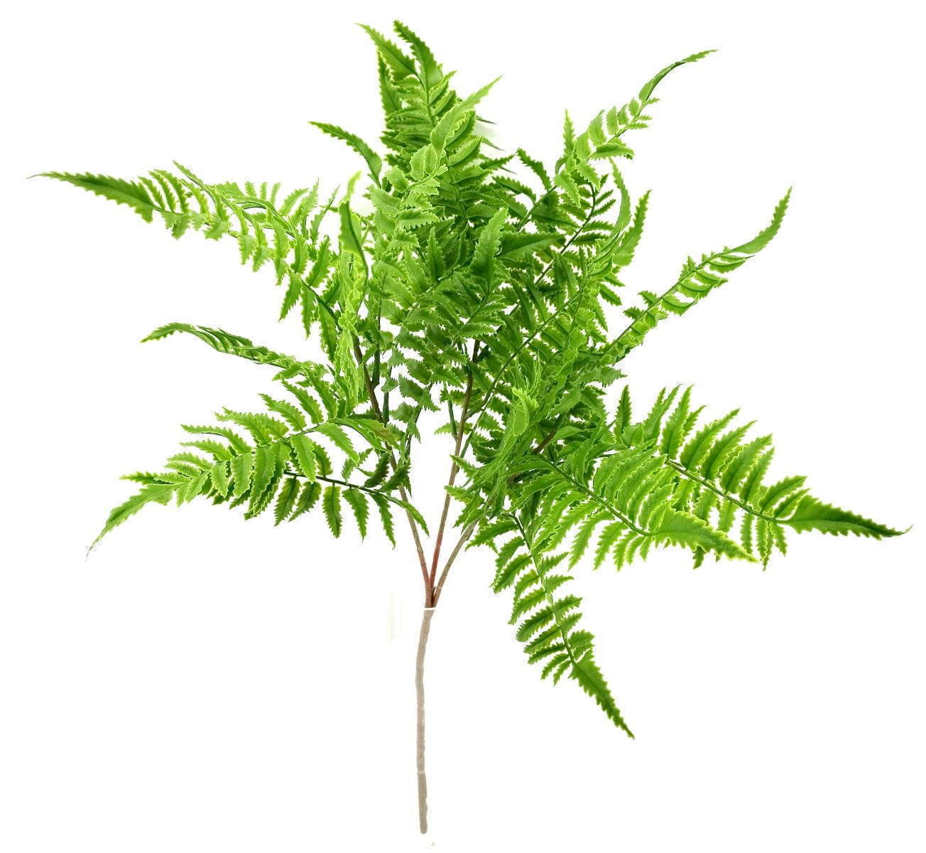 Single Branch 27 Leaves 80cm Artificial Pteris Fern