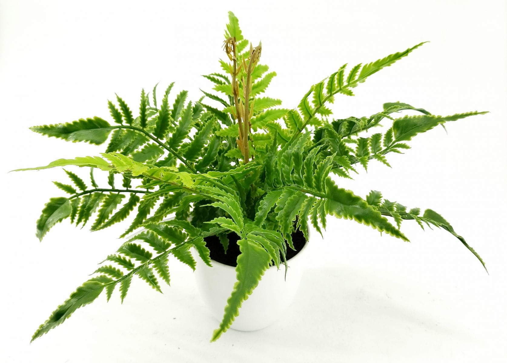 Single Branch 9 Leaves 28cm Artificial Pteris Bonsai Ferns