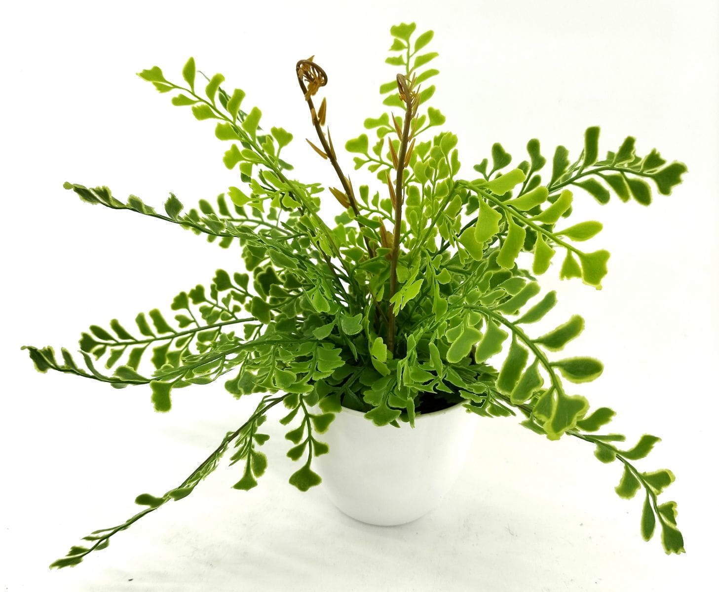 Single Branch 9 Leaves 28cm Artificial Ginkgo Bonsai Ferns