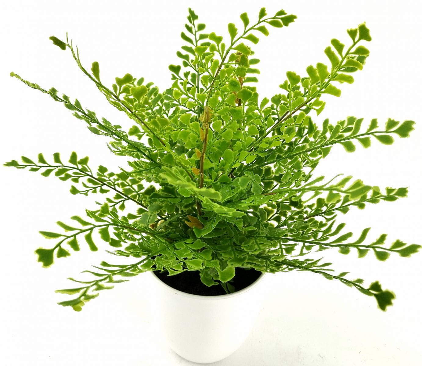 Single Branch 9 Leaves 28cm Artificial Ginkgo Bonsai Ferns