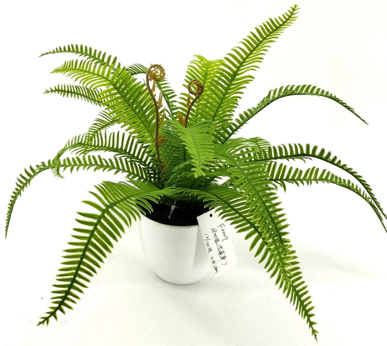 Single Branch 9 Leaves 28cm Artificial Osmunda Bonsai Ferns