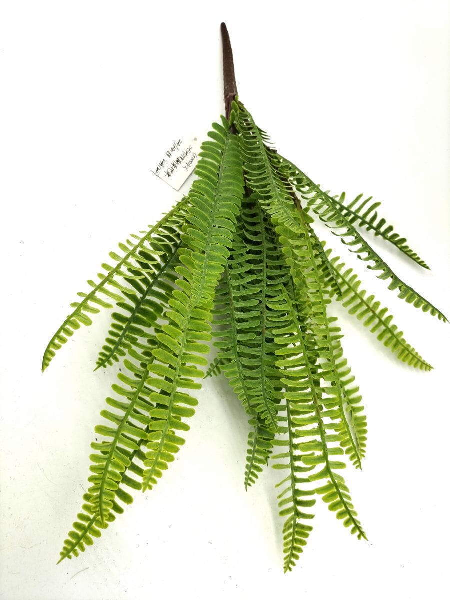 25 leaves Artificial Boston Fern Leaf bunches 50cm