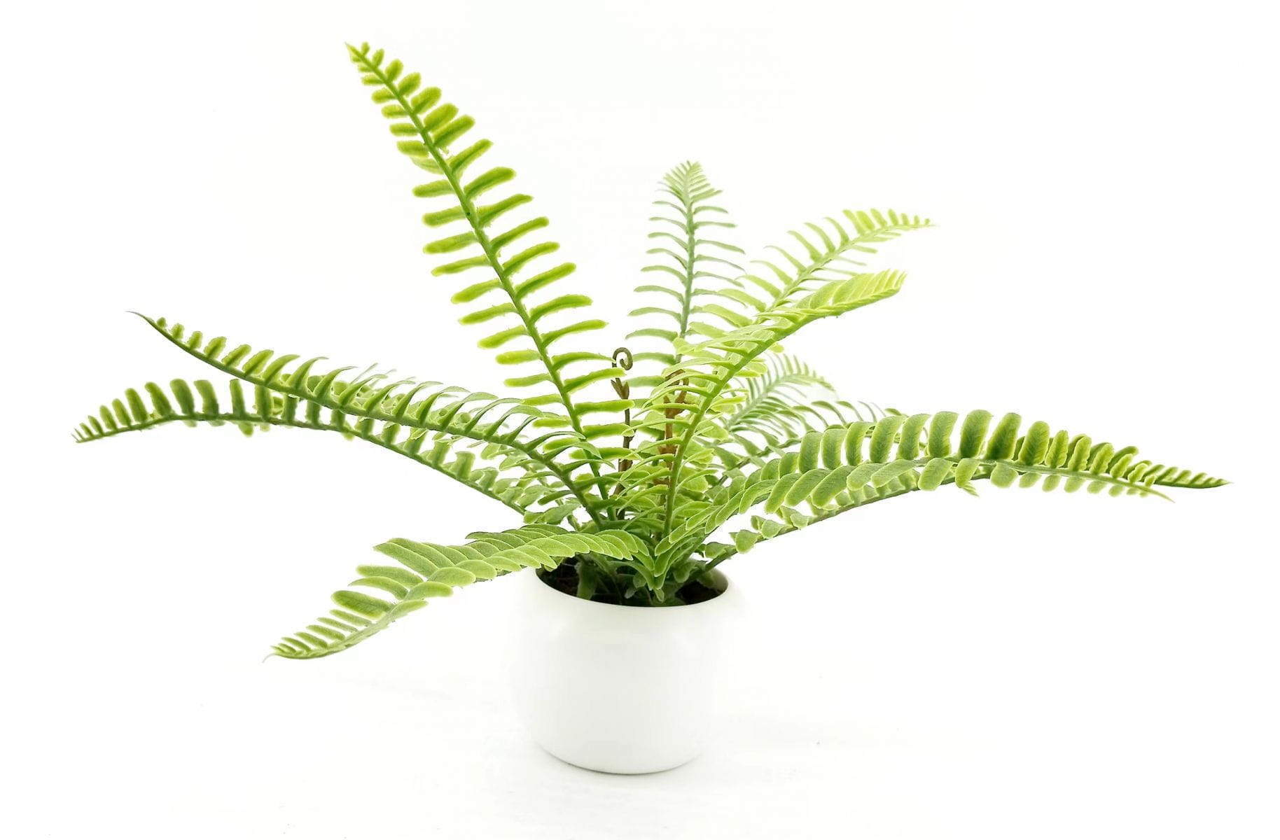 24 Leaves Artificial Boston Bonsai Ferns 35cm