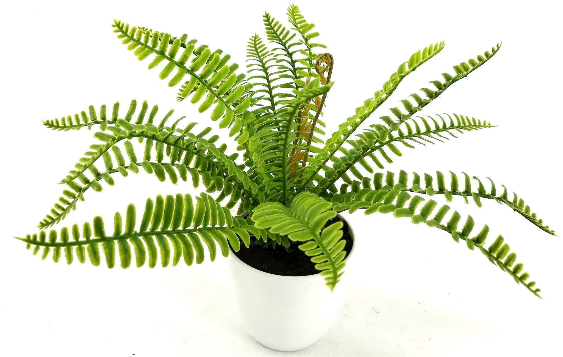 24 Leaves Artificial Boston Bonsai Ferns 35cm