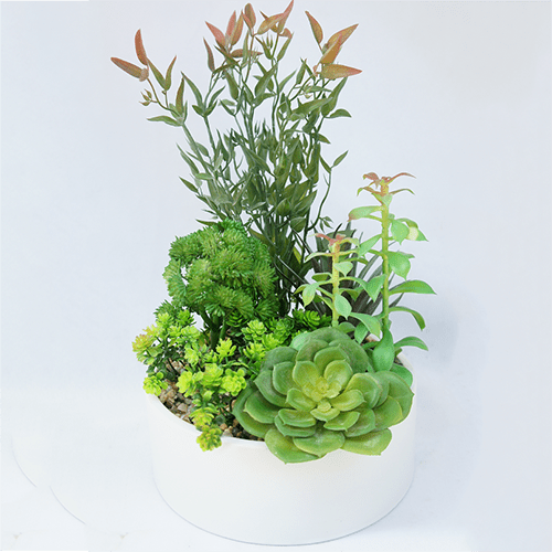 Artificial Succulent Bonsai 35 CM