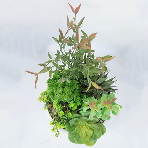 Artificial Succulent Bonsai 35 CM