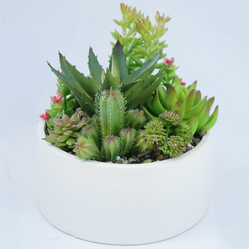 Artificial Small Succulents Plant 18 CM
