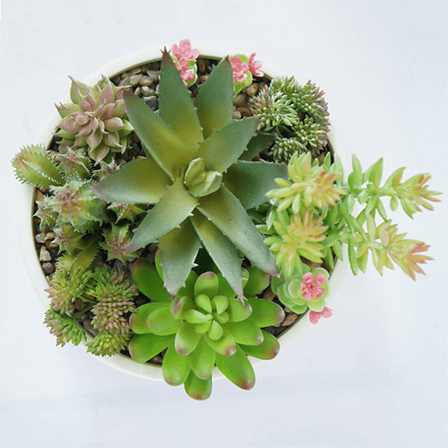 Artificial Small Succulents Plant 18 CM