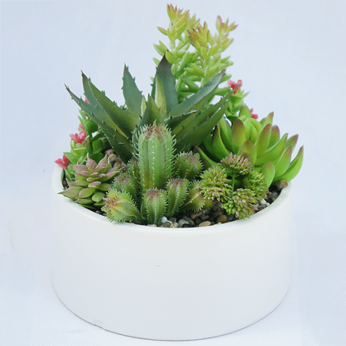 Artificial Small Succulents Plant 18 CM Sharetrade