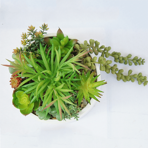 Artificial Small Succulents Plant 19 CM