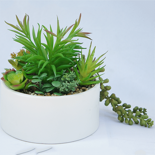 Artificial Small Succulents Plant 19 CM Sharetrade