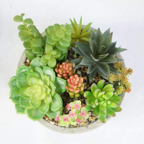 Fake Mini Succulents, 20CM