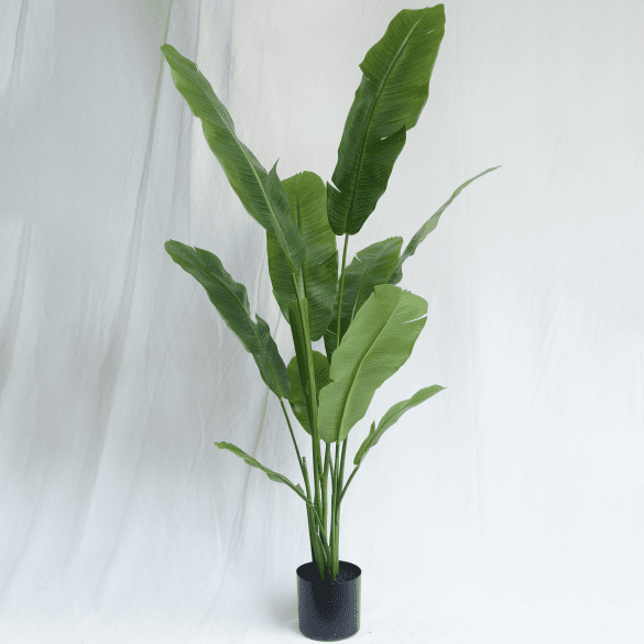 Artificial Musa Basjoo Bonsai 150CM