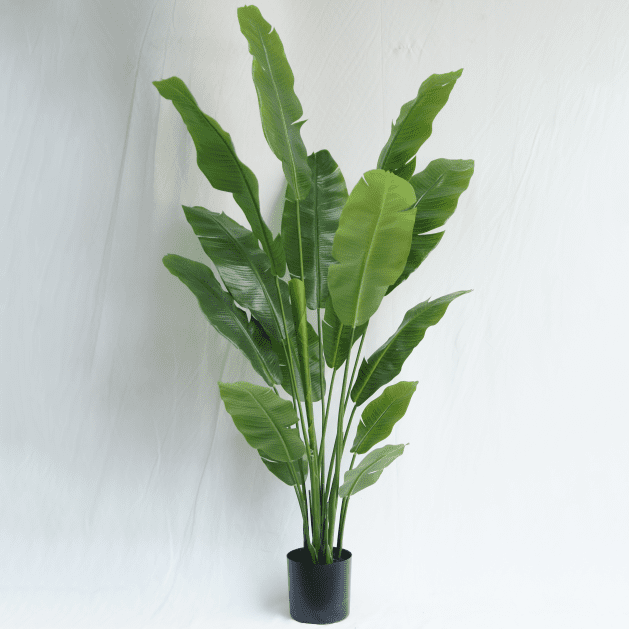 Artificial Musa Basjoo Bonsai 180CM