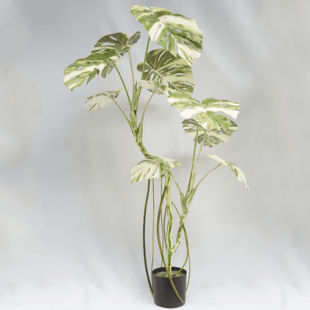 Artificial Monstera Deliciosa Variegata Tree 150 CM