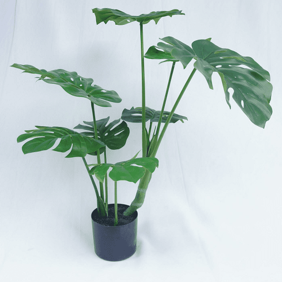 Artificial Monstera Deliciosa Tree 75 CM
