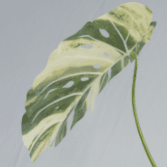 Artificial Monstera Deliciosa Variegata Tree 80 CM