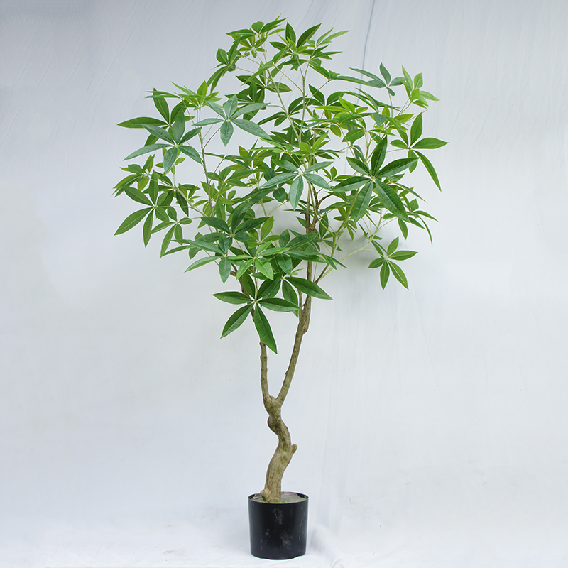 Artificial Pachira Aquatica 180CM