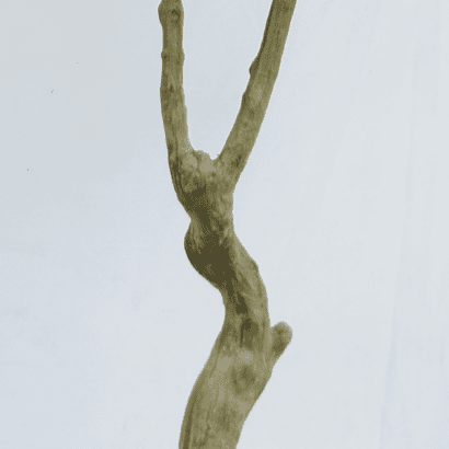 Artificial Pachira Aquatica 180CM