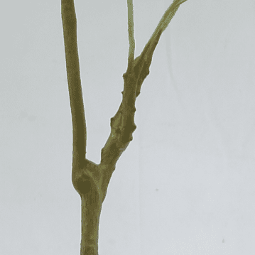 Artificial Malabar Chestnut 180CM