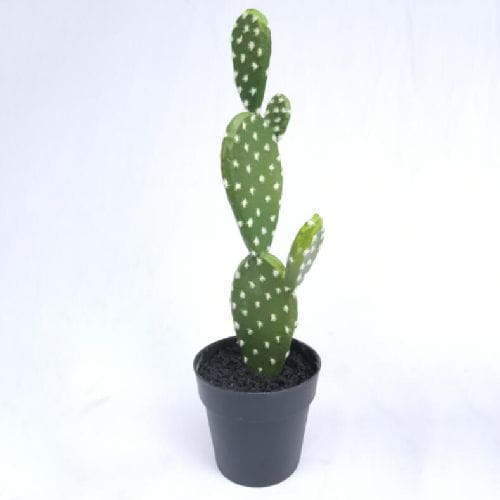 Faux Nopal Maceta Succulents  36 CM
