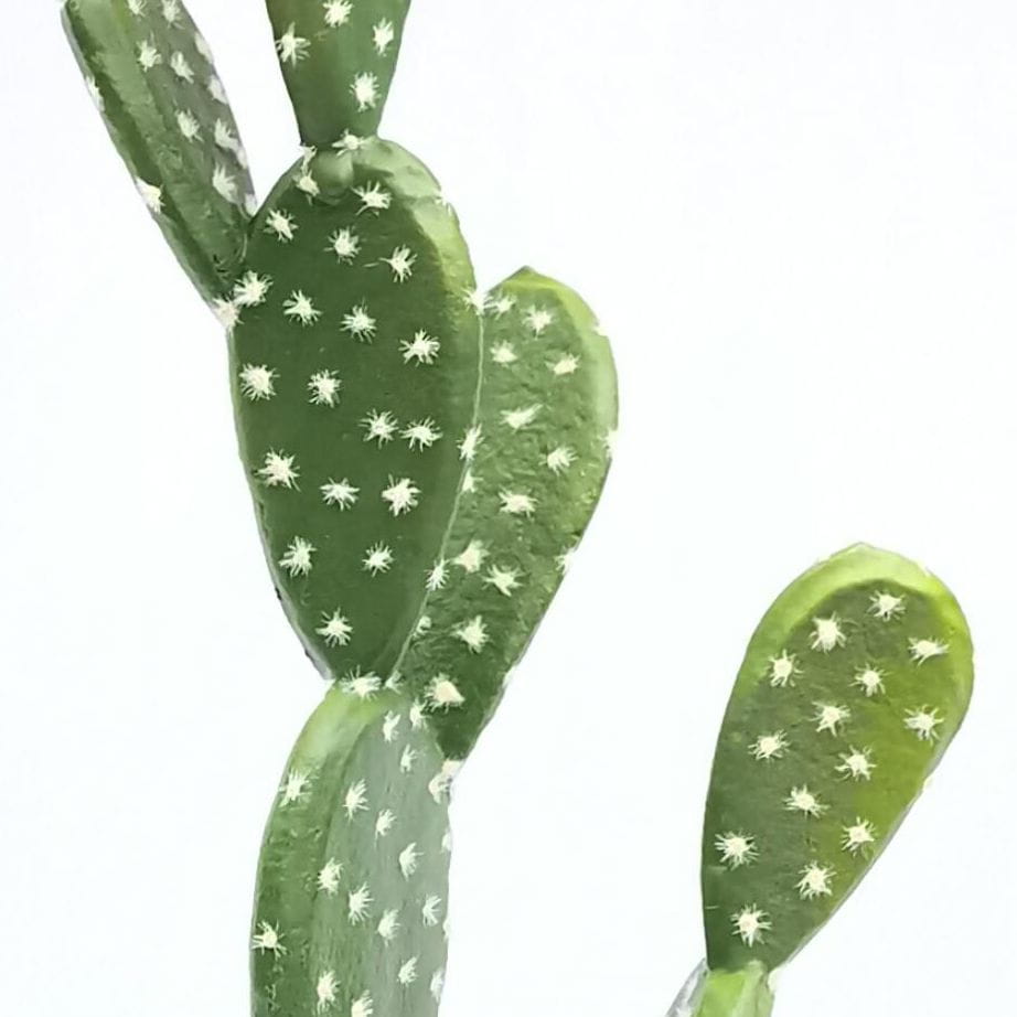Artificial  Cactus Plants 60 CM