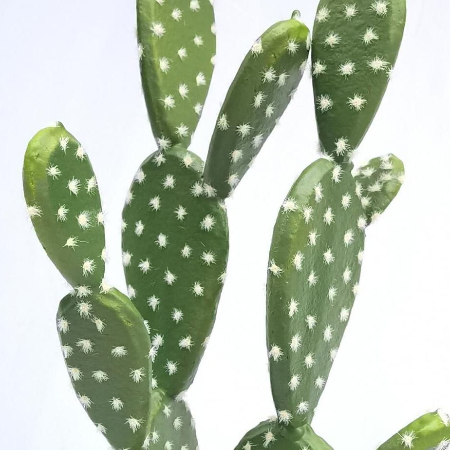 Artificial  Tabletop Cactus 48 CM