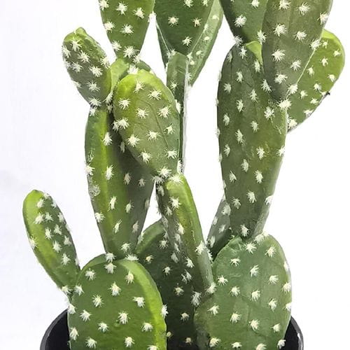 Faux Opuntia Ficus-indica 63 CM