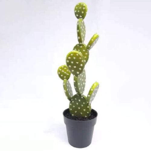 Faux Barbary Fig 40 CM